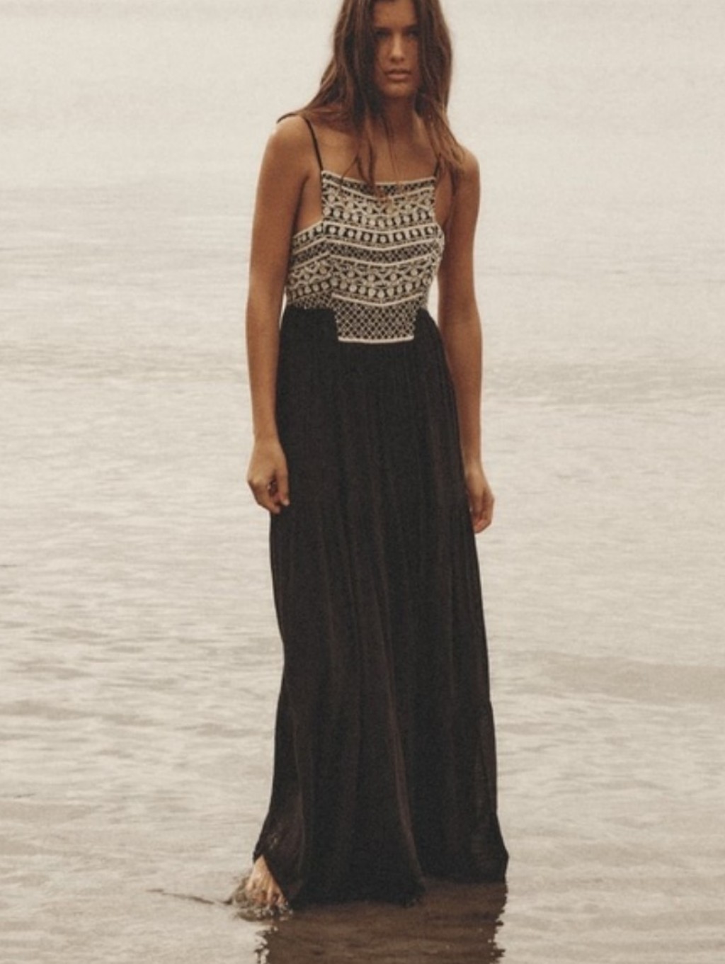 Zara Beaded Embroidered Maxi Dress